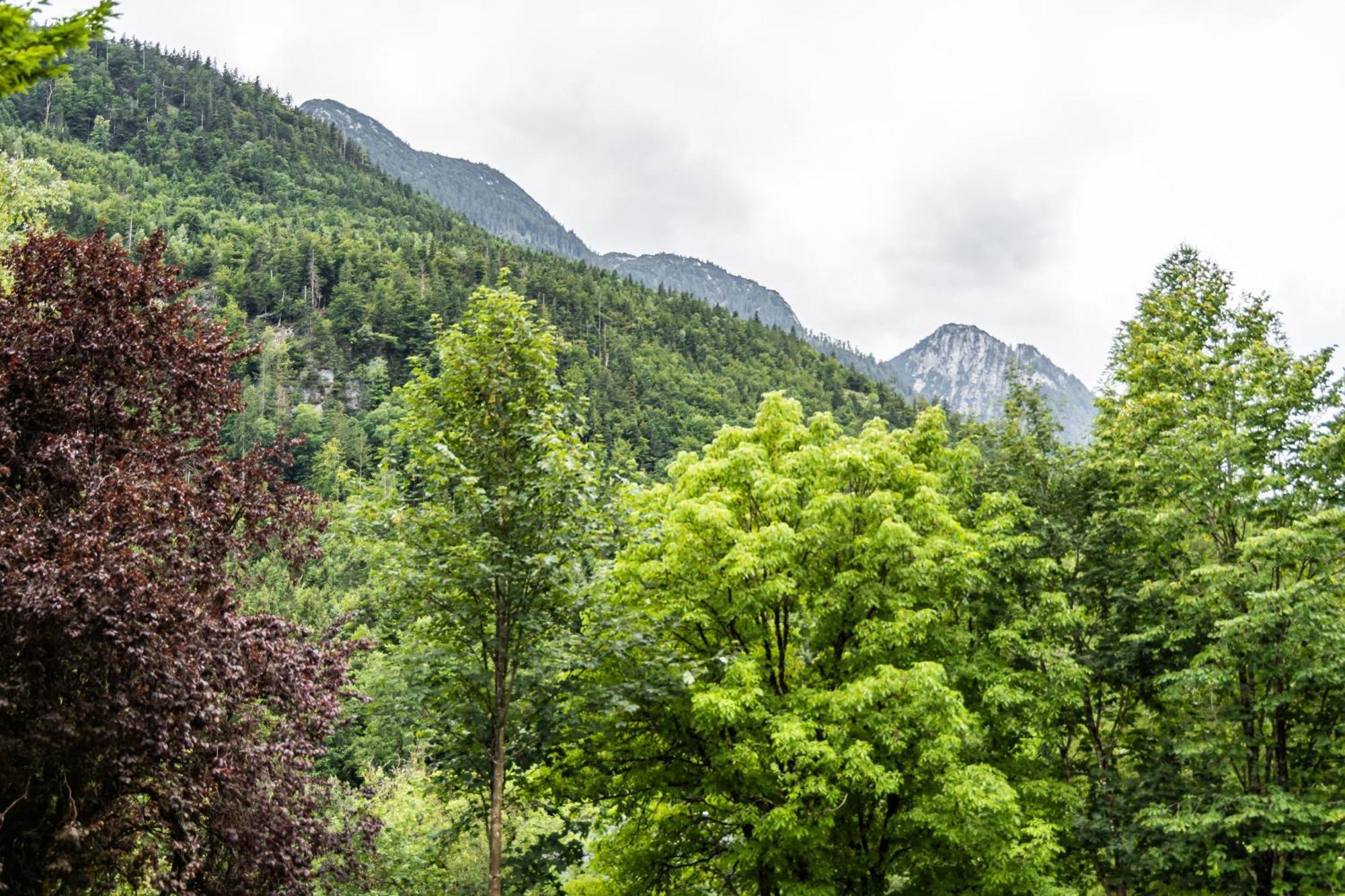 Alpin-Chalet In Alleinlage In Bad Ischl - Wald, Natur, Kamin & Sauna Exterior foto